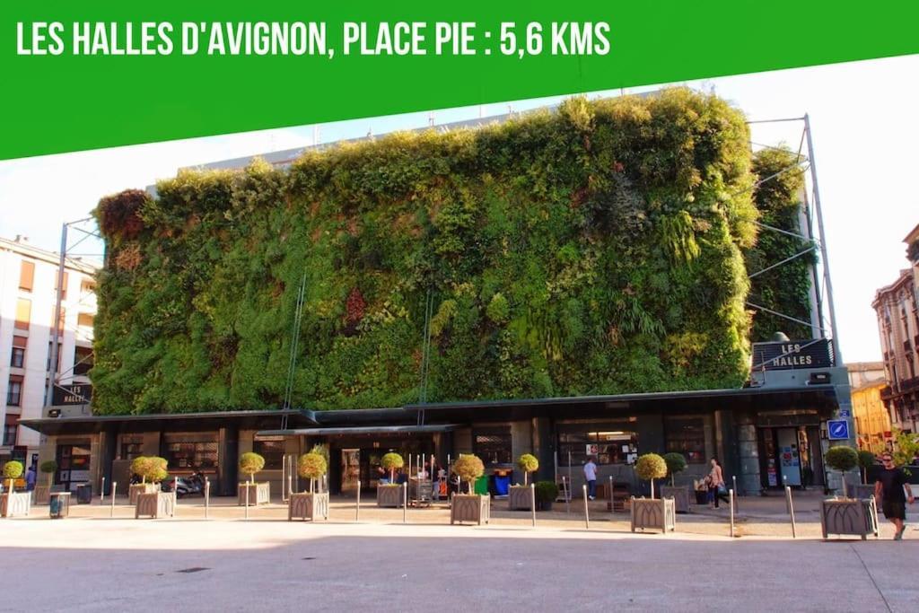 Petit Terme - Piscine - Clim - Parking Apartamento Les Angles  Exterior foto